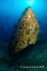 "Odyssey" wreck ( my first underwater earthquake 4.8 ,it ... by Richard Goluch 